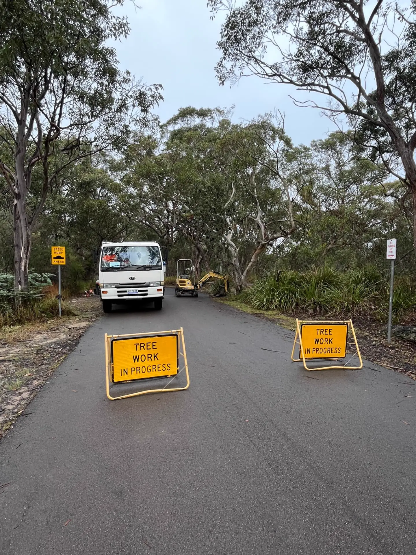 Tree work in progress signage and traffic control on a bush road
