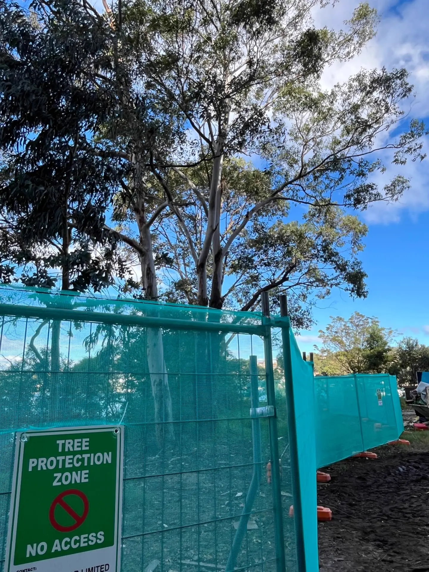 Tree protection zone fencing with signage around retained eucalypts