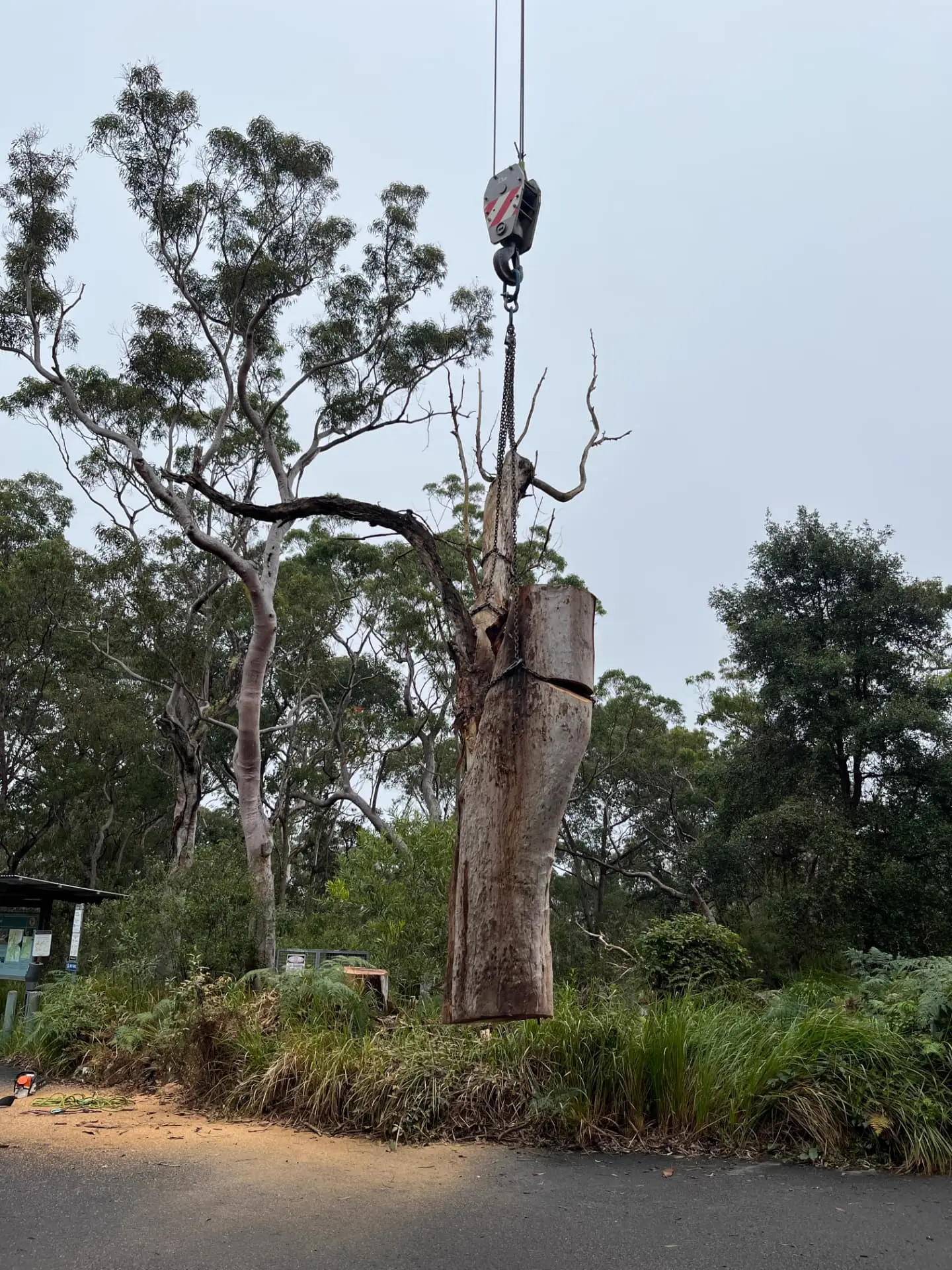 Crane lifting a large trunk section clear of the drop zone