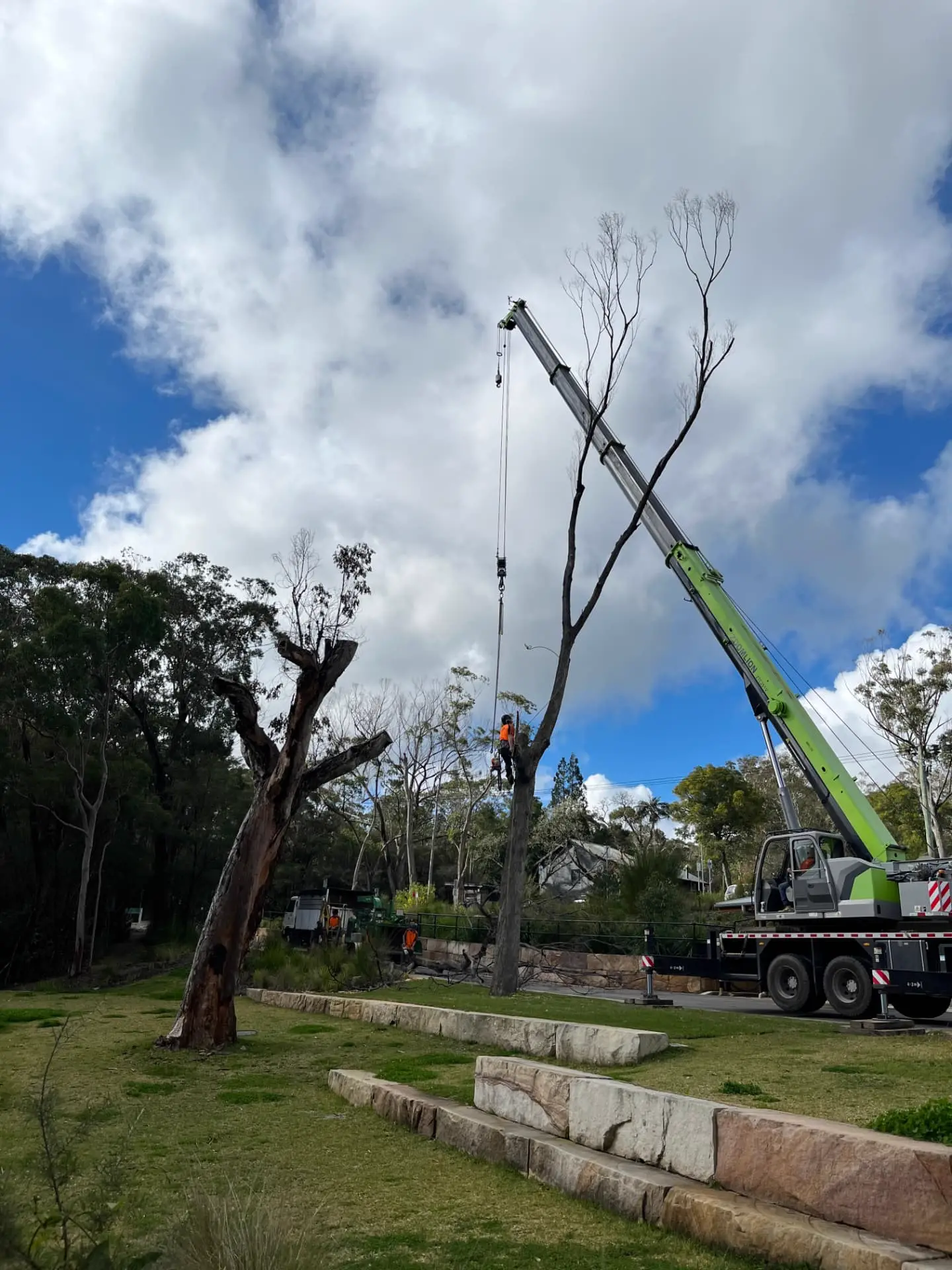 Mobile crane and climber working on a hazardous tree beside parkland