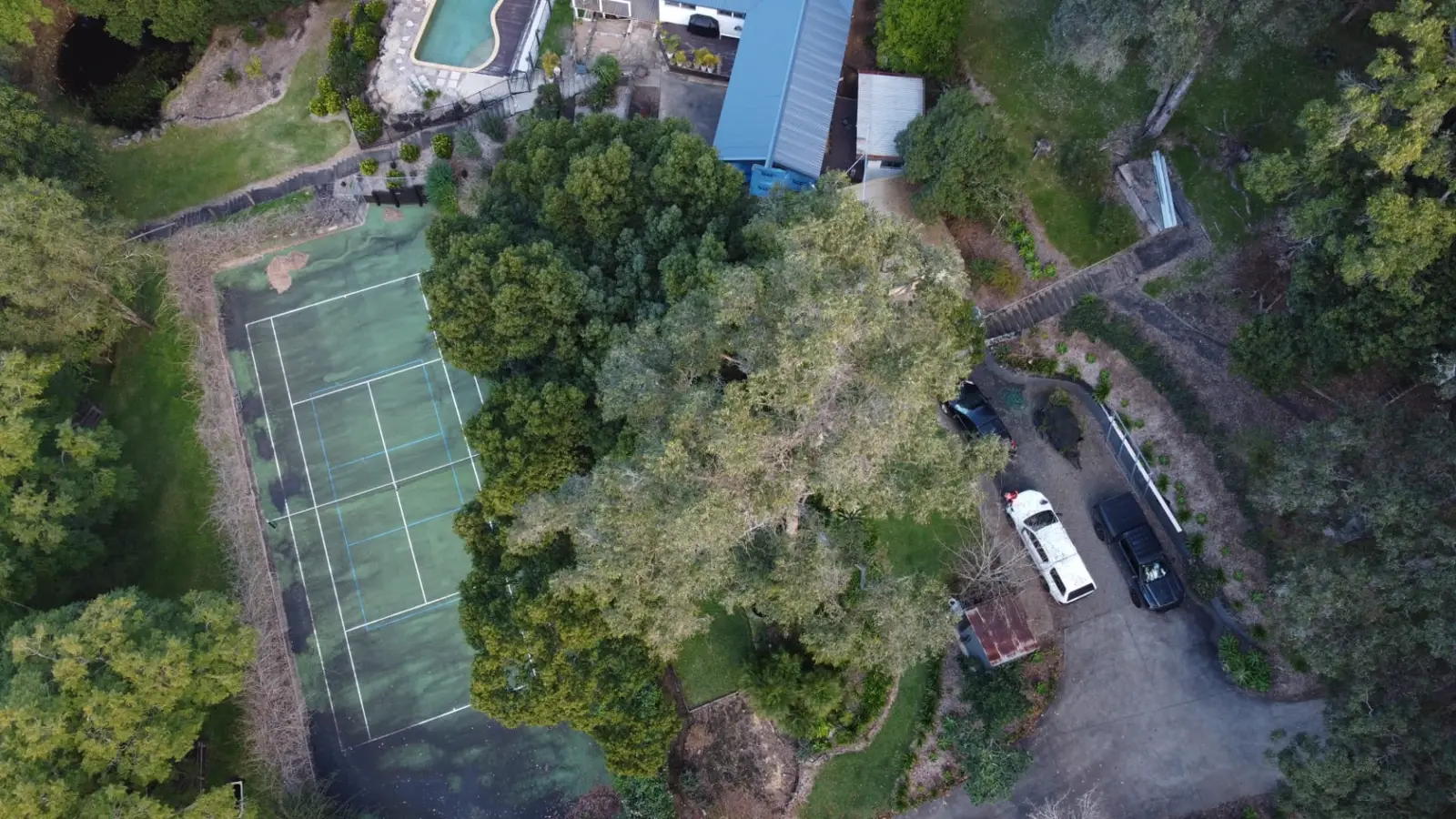 Aerial view of a large tree beside a tennis court and residence